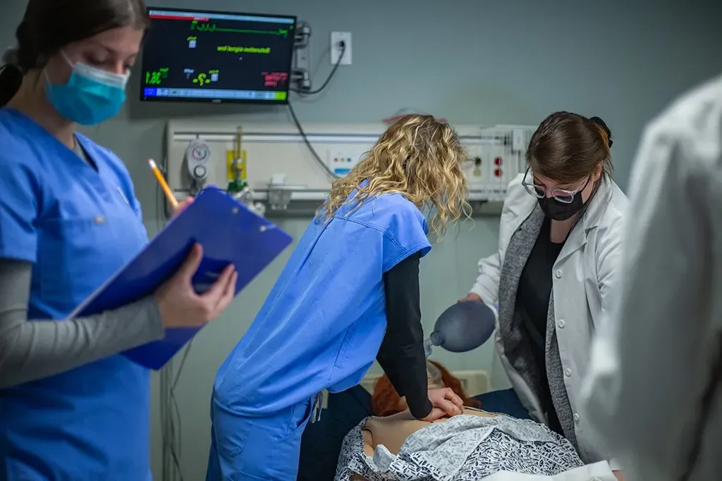 Dental hygienist students performing tasks in the Simulation Lab